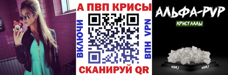 как найти закладки Ельня APVP VHQ