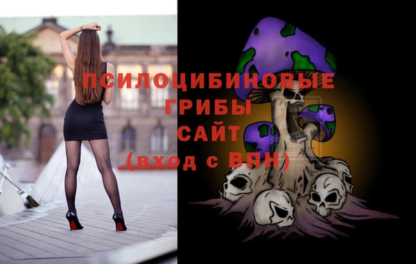 сатива Армянск