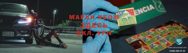 сатива Армянск
