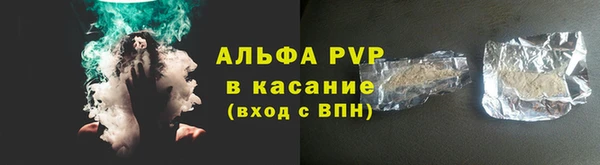 сатива Армянск