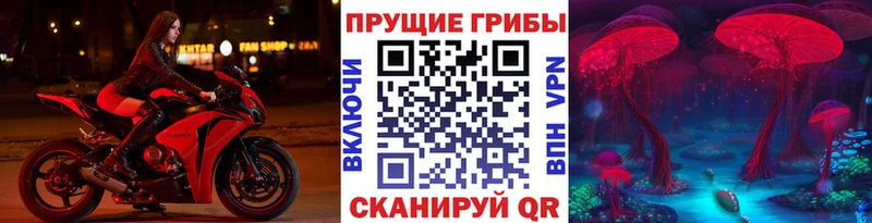 Псилоцибиновые грибы MAGIC MUSHROOMS  сайты даркнета формула  Ельня 